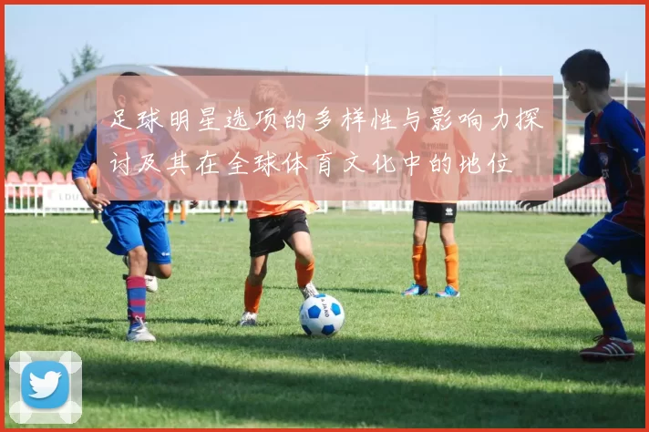 足球明星选项的多样性与影响力探讨及其在全球体育文化中的地位