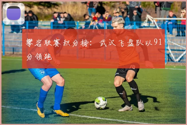 攀岩联赛积分榜：武汉飞盘队以91分领跑