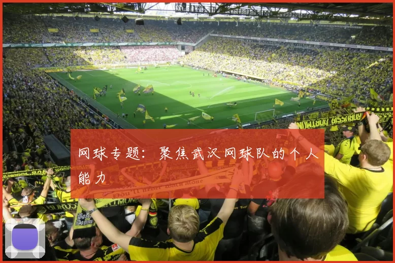 网球专题：聚焦武汉网球队的个人能力