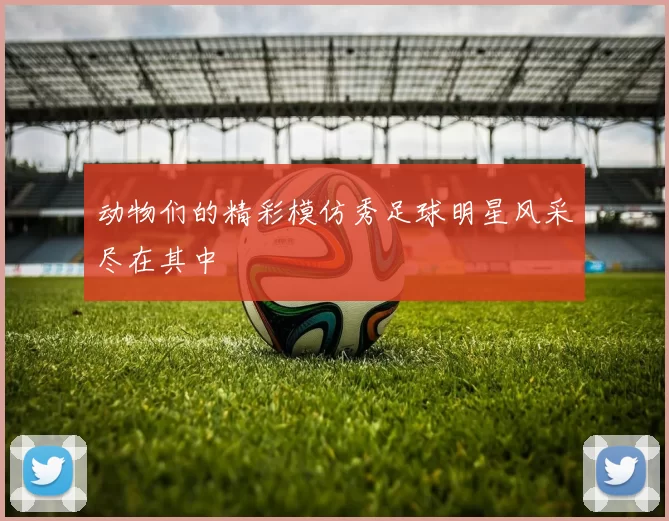 动物们的精彩模仿秀足球明星风采尽在其中