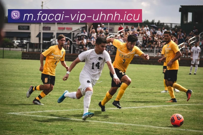 华体会体育注册平台生态图