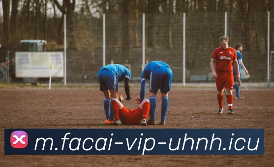 华体会体育注册全站App